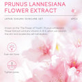 Sakura Skincare Set — 6 Piece Collection - View 18