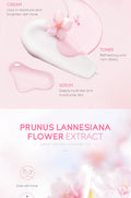 LAIKOU Sakura Moisturizing Kit — 5 Piece - View 11